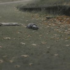 Lucia si spomenie na popravu Jurka a Romana.