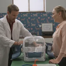 Tomáš to zo zvieratami vie, Rómeo si pri ňom spokojne priadol.