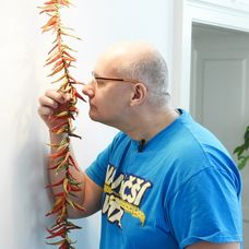 Na štipľavé papričky je Julo expert