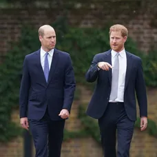Princovia Harry a William