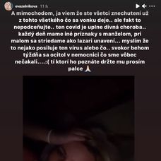 Na snímke kapitán Peter Čerešňák v zápase Slovensko - Švajčiarsko na Nemeckom pohári 2019 v Krefelde.