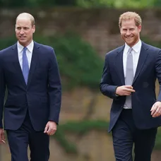 Princovia Harry a William