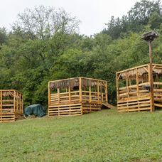 Tu nájdu farmári po príchode zvieratá
