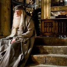 Harry Potter a Polovičný princ