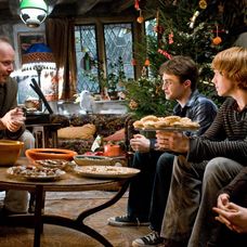 Harry Potter a Polovičný princ