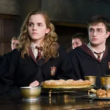 Harry Potter a Fénixov rád