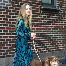 Amanda Seyfried s milovaným spoločníkom, psíkom Finnom. 
