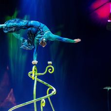Ako vzniká OVO? Nahliadnite do zákulisia jednej z najslávnejších šou Cirque du Soleil