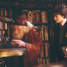 Harry Potter a Tajomná komnata
