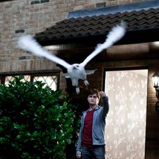 Harry Potter a Dary smrti I