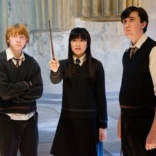 Harry Potter a Fénixov rád