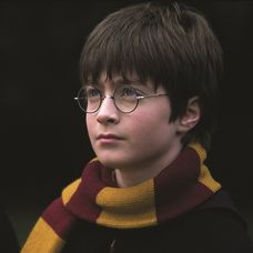 Harry Potter a Kameň mudrcov