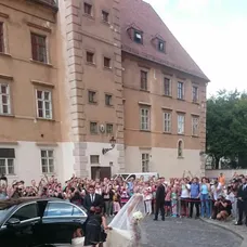 Svadba Dominiky Cibulkovej a Michala Navaru