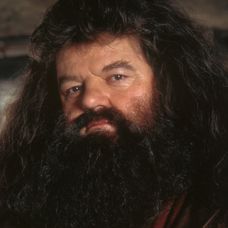 Robbie Coltrane ako Hagrid v Harrym Potterovi.