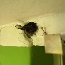 Dom Sivoňovcov je v dezolátnom stave
