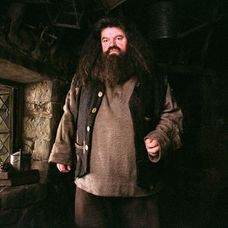 Harry Potter a Väzeň z Azkabanu