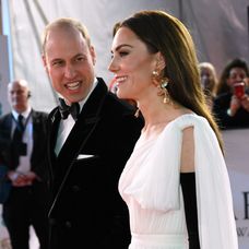 Princ a princezná z Walesu