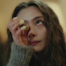 Veľvyslancova dcéra