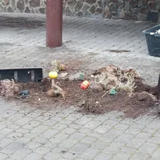 Škody pri hoteli Tulipán