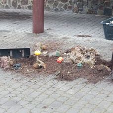 Škody pri hoteli Tulipán