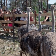 Farmári boli z nových kamarátov úplne paf