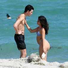 Camila Cabello a Shawn Mendes