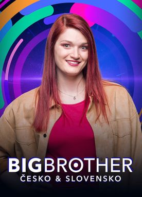 Big Brother