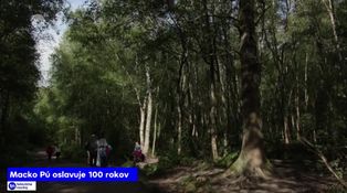 Macko Pú oslavuje 100 rokov
