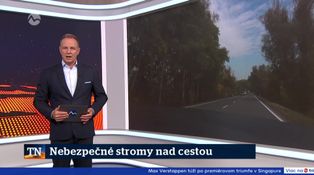Nebezpečné stromy nad cestou
