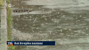 Ani kvapka nazmar