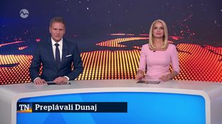 Preplávali Dunaj