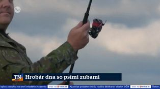 Hrobár dna so psími zubami