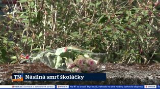 Zahraničné spravodajstvo