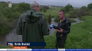 Žeriavy sa vracajú na Slovensko