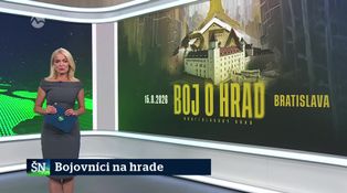 Bojovníci na hrade
