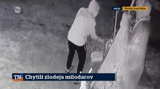 Chytili zlodeja milodarov