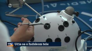 Učia sa o ľudskom tele