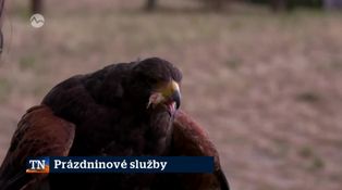 Prázdninvé služby