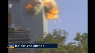 Kolektívna obrana