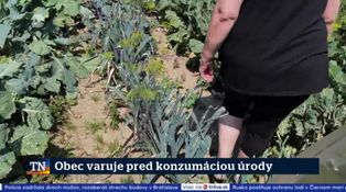 Obec varuje pred konzumáciou úrody