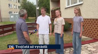 Trojčatá už vyrástli