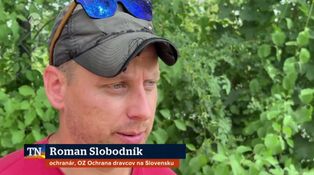 Dráma so šťastným koncom