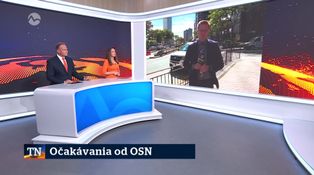 Očakávania od OSN