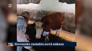 Slovensko zasiahla nová nákaza