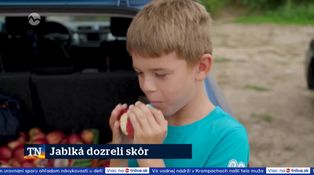 Jablká dozreli skôr