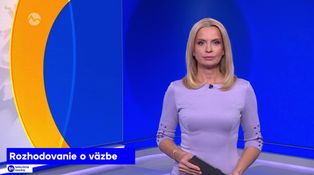 Rozhodovanie o väzbe