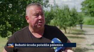 Bohatá úroda potešila pálenice