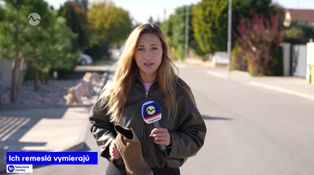Ich remeslá vymierajú
