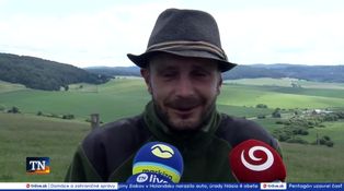 Vlčia svorka útočila na ovce