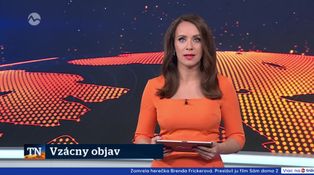 Vzácny objav